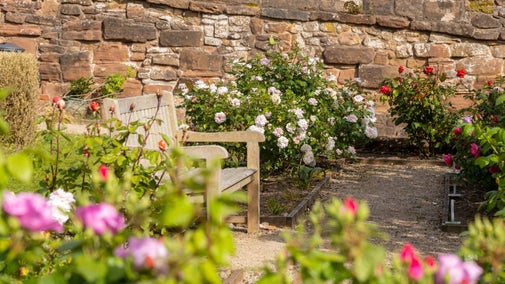 Explore the garden in Summer at Charterhouse